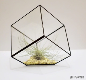  Doniczka geometryczna,terrarium - Sześcian ze ściętym rogiem czarny, rozmiar 10