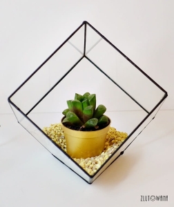  Doniczka geometryczna,terrarium - Sześcian ze ściętym rogiem czarny, rozmiar 12