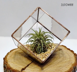 Doniczka geometryczna,terrarium - Sześcian ze ściętym rogiem miedziany, rozmiar 12