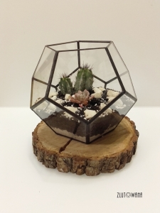 Doniczka geometryczna,terrarium - Dwunastościan czarny,  rozmiar L
