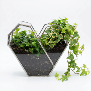 Doniczka geometryczna,terrarium - serce małe , srebrne