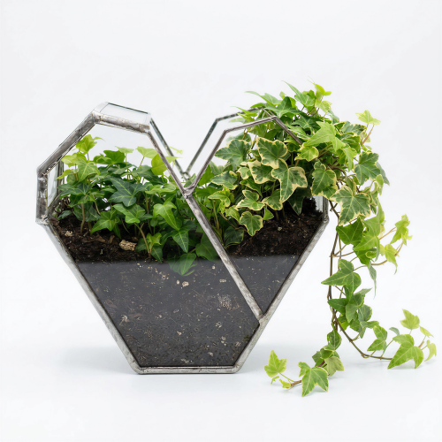 Terrarium serce bluszcz 1500x1500.png