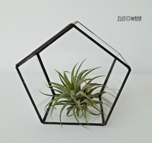 Doniczka geometryczna - Graniastosłup pięciokątny czarny