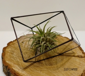 Doniczka geometryczna,terrarium - Sześcian ze ściętym rogiem otwarty, czarny nr 8