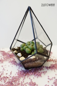Doniczka geometryczna,terrarium -  łza czarna, rozmiar S